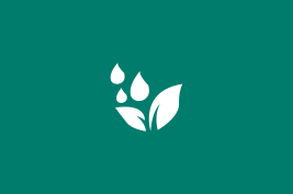 Water Soluble / Other Fertilizers