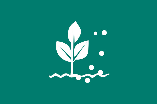 Nitrogenous Fertilizers